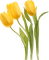 tulpen milla1959 - ücretsiz png animasyonlu GIF