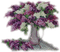En violet - безплатен png анимиран GIF