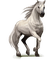 caballo - png gratis GIF animado