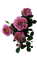 pink flowers 2 - ilmainen png animoitu GIF