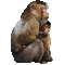 Apina, monkey - GIF animé gratuit GIF animé