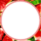 soave frame circle summer fruit watermelon red