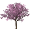 tree, puu, luonto, nature - 免费PNG 动画 GIF