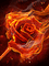 burning rose - Zdarma animovaný GIF animovaný GIF