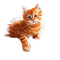 kikkapink kitten animal cute deco winter - png gratuito GIF animata