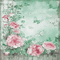 soave background animated  vintage  pink green