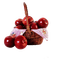 Apples Pelageya