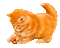 cat by nataliplus - Darmowy animowany GIF animowany gif