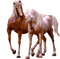 dulcineia8 cavalos - ingyenes png animált GIF