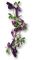 fleur violette.Cheyenne63 - PNG gratuit GIF animé