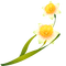 Flowers yellow bp - PNG gratuit GIF animé