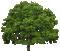 Baum - GIF animate gratis GIF animata