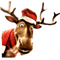 rudolph reindeer noel renne - PNG gratuit GIF animé