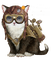 steampunk cat