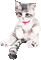 soave deco cat animated grey pink - Gratis geanimeerde GIF geanimeerde GIF