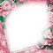 soave frame vintage flowers lace pink green - bezmaksas png animēts GIF