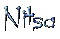Nitsa-blue - Zdarma animovaný GIF animovaný GIF