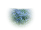 blue flower field - gratis png geanimeerde GIF