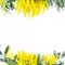 Fondo mimosa - бесплатно png анимированный гифка