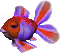poisson multicolore - Бесплатный анимированный гифка анимированный гифка