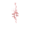 Chili Schriftzug - bezmaksas png animēts GIF