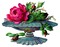 Blumenschale - gratis png geanimeerde GIF