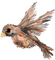 Bird-RM - kostenlos png Animiertes GIF