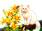 Rena Spring Cat Katze - gratis png animeret GIF