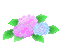Animated Hydrangea Flowers - GIF animé gratuit GIF animé