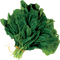 vegetables bp - 免费PNG 动画 GIF