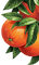 oranges - PNG gratuit GIF animé