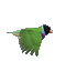 birds katrin - Bezmaksas animēts GIF animēts GIF