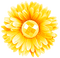 Flower.Yellow - png gratis GIF animasi