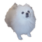 gabe the dog - kostenlos png Animiertes GIF