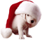 Christmas animals bp - PNG gratuit GIF animé