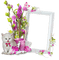cadre blanc fleurs & chaton - GIF animé gratuit