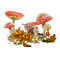 mushroom cluster - png gratis GIF animasi