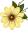 Kaz_Creations Deco Flower Colours - kostenlos png Animiertes GIF