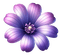 PURPLE FLOWER - Бесплатни анимирани ГИФ