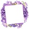 purple frame<уνσηηєℓℓα> - GIF animé gratuit