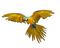 Kaz_Creations Parrot Bird - 免费PNG 动画 GIF