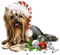 Kaz_Creations Christmas Dog Pup Dogs Colours - png gratuito GIF animata