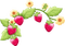 Strawberry Red Green  Yellow Charlotte - Bogusia - PNG gratuit GIF animé