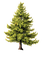 Árbol de   navidad - 免费PNG 动画 GIF