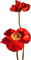 Цветок - png gratuito GIF animata