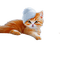 kikkapink kitten animal cute deco winter cat - PNG gratuit GIF animé