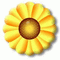 flower - GIF animate gratis GIF animata