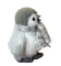 Kaz_Creations Penguin 🐧 - 免费PNG 动画 GIF