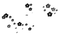 Flowers Black - PNG gratuit GIF animé