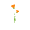 Fleurs.Flowers.Orange.gif.Victoriabea - GIF animado grátis Gif Animado